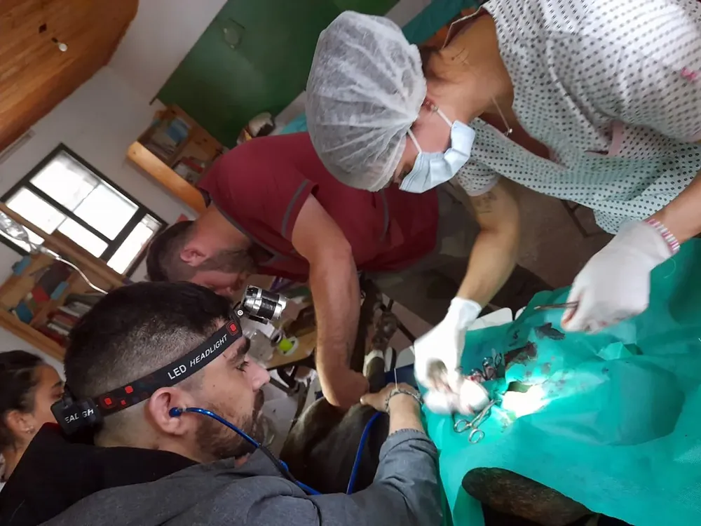 WhatsApp Image 2023-09-24 at 12.05.21