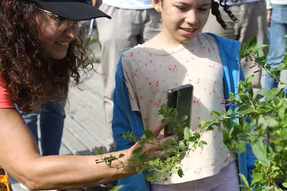 argentinat-es-una-red-sorprendente-de-4K4IP6DXZVCVXM7FODV75IKL5U