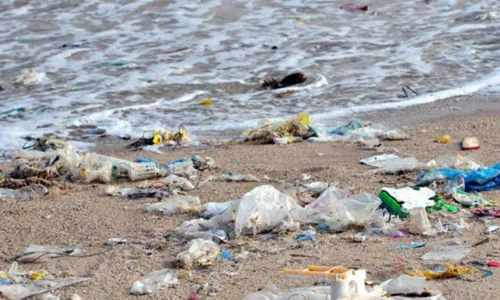 Plasticos en las costas represpenta el 78_ de la basura