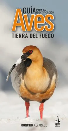 58099-img-20230608-wa0012