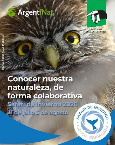 images (5)