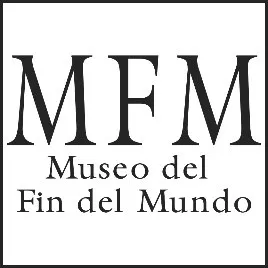 MFM