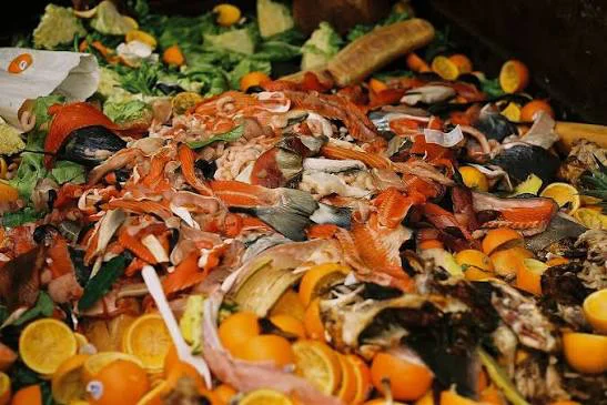 Argentina desperdicia 12,5% de alimentos: rescate y clima