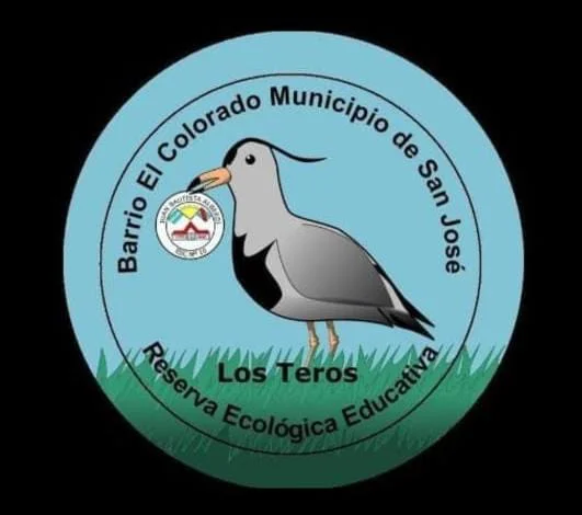 WhatsApp Image 2026-03-29 at 13.35.13