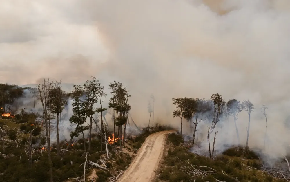 WhatsApp Image 2023-10-24 at 09.22.56