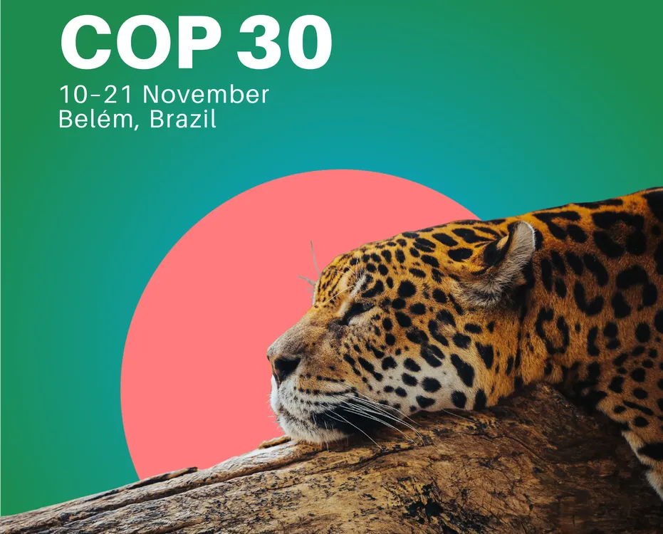 COP 30 - Belem, Brasil - foto UNEP (1)