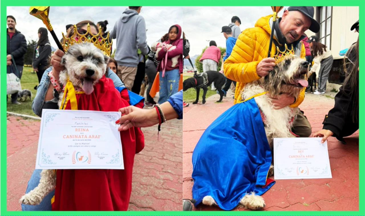 WhatsApp Image 2026-03-04 at 13.29.03