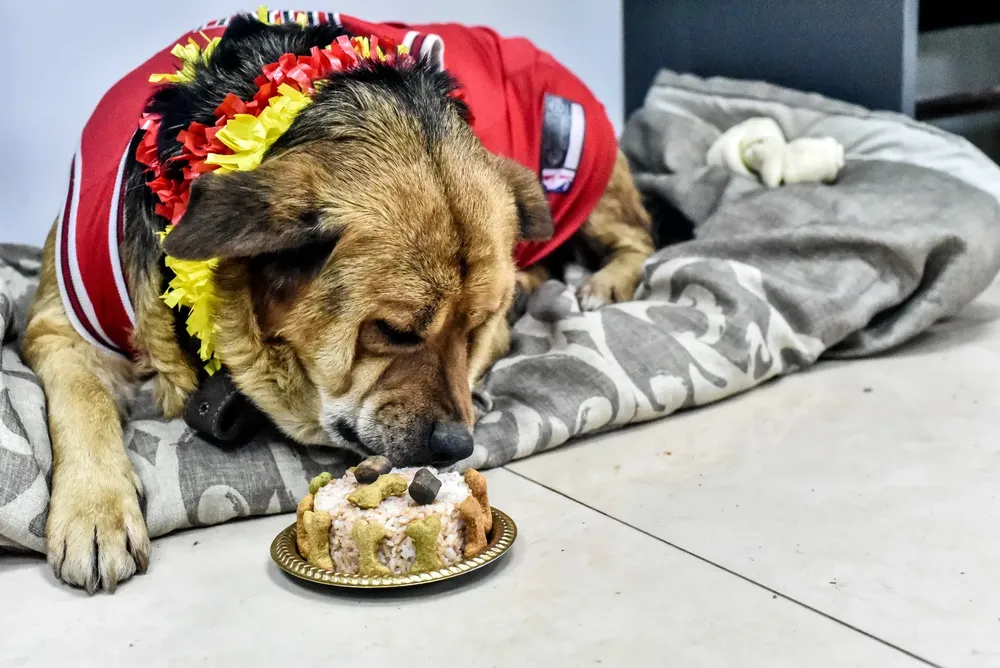 WhatsApp Image 2024-05-29 at 11.24.32