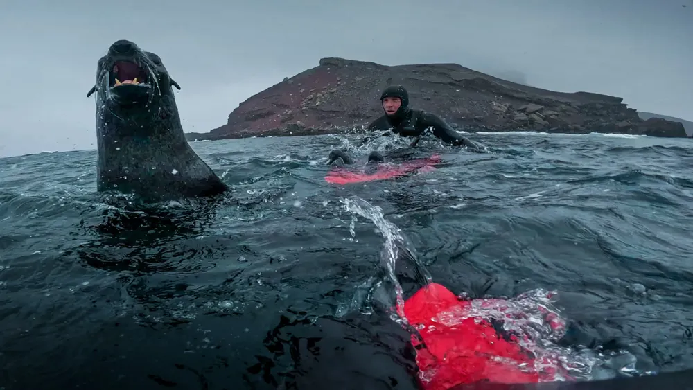 7- GDM - Antártida Dominio 1