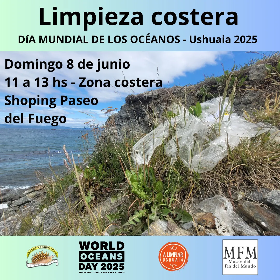 WhatsApp Image 2025-05-30 at 21.49.23 (1)