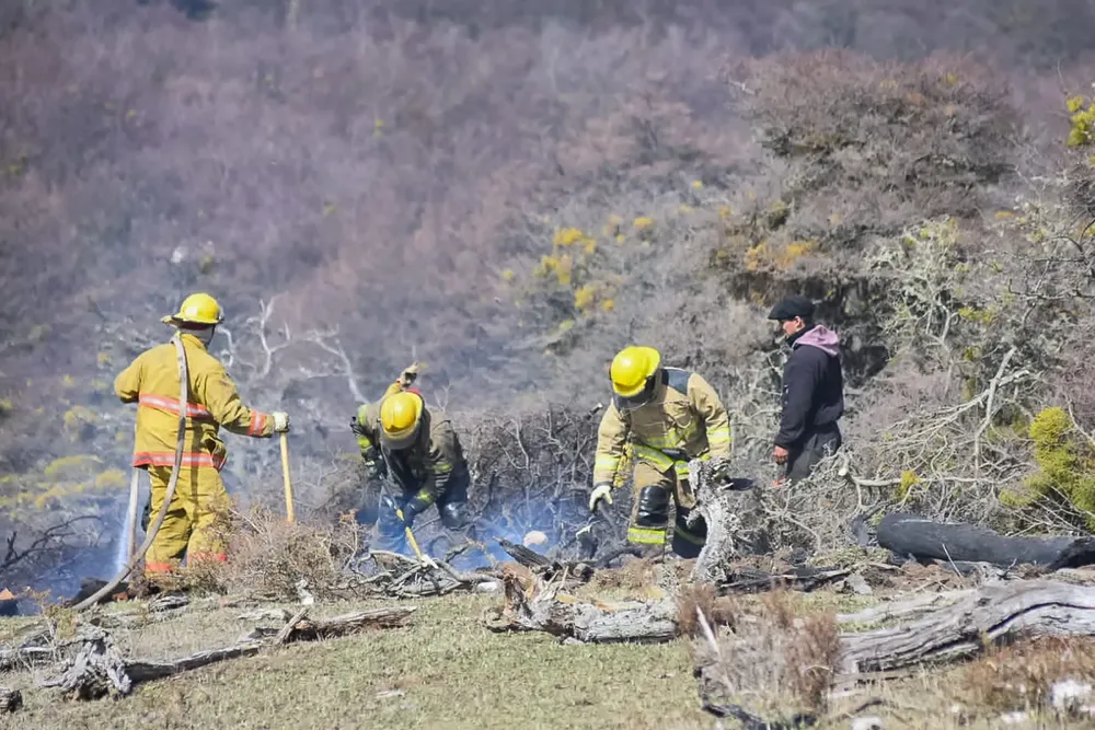 WhatsApp Image 2023-10-25 at 21.48.00