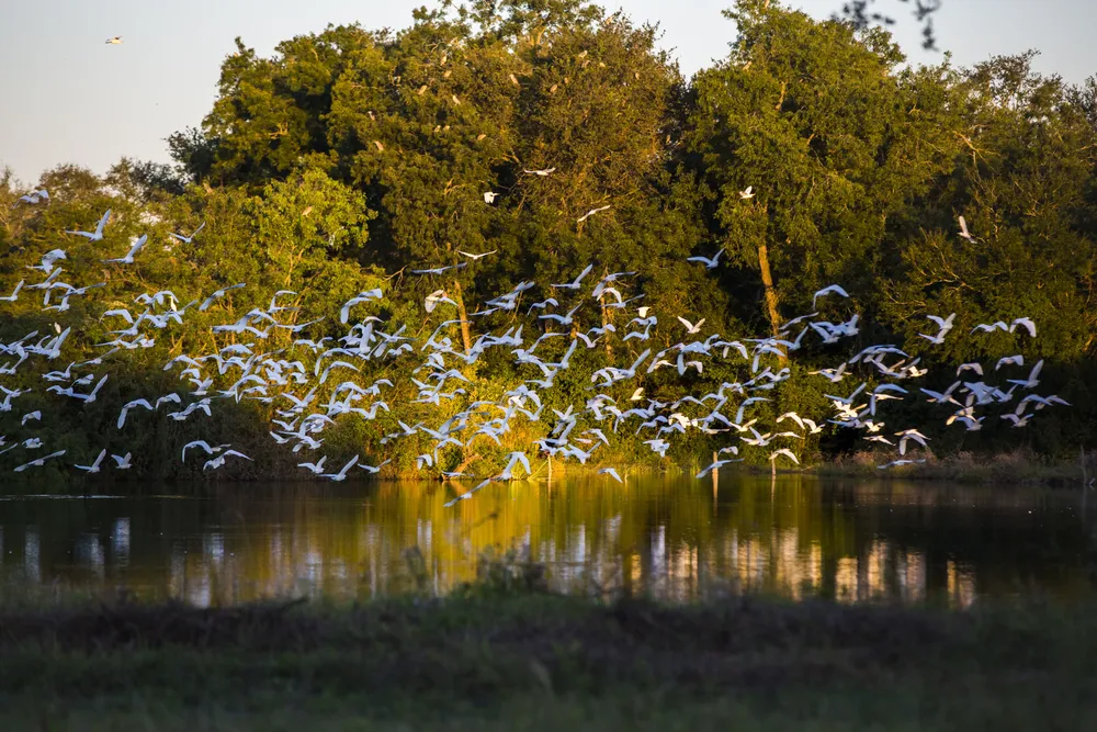 Gran Chaco_Créditos Yawar Films (1)