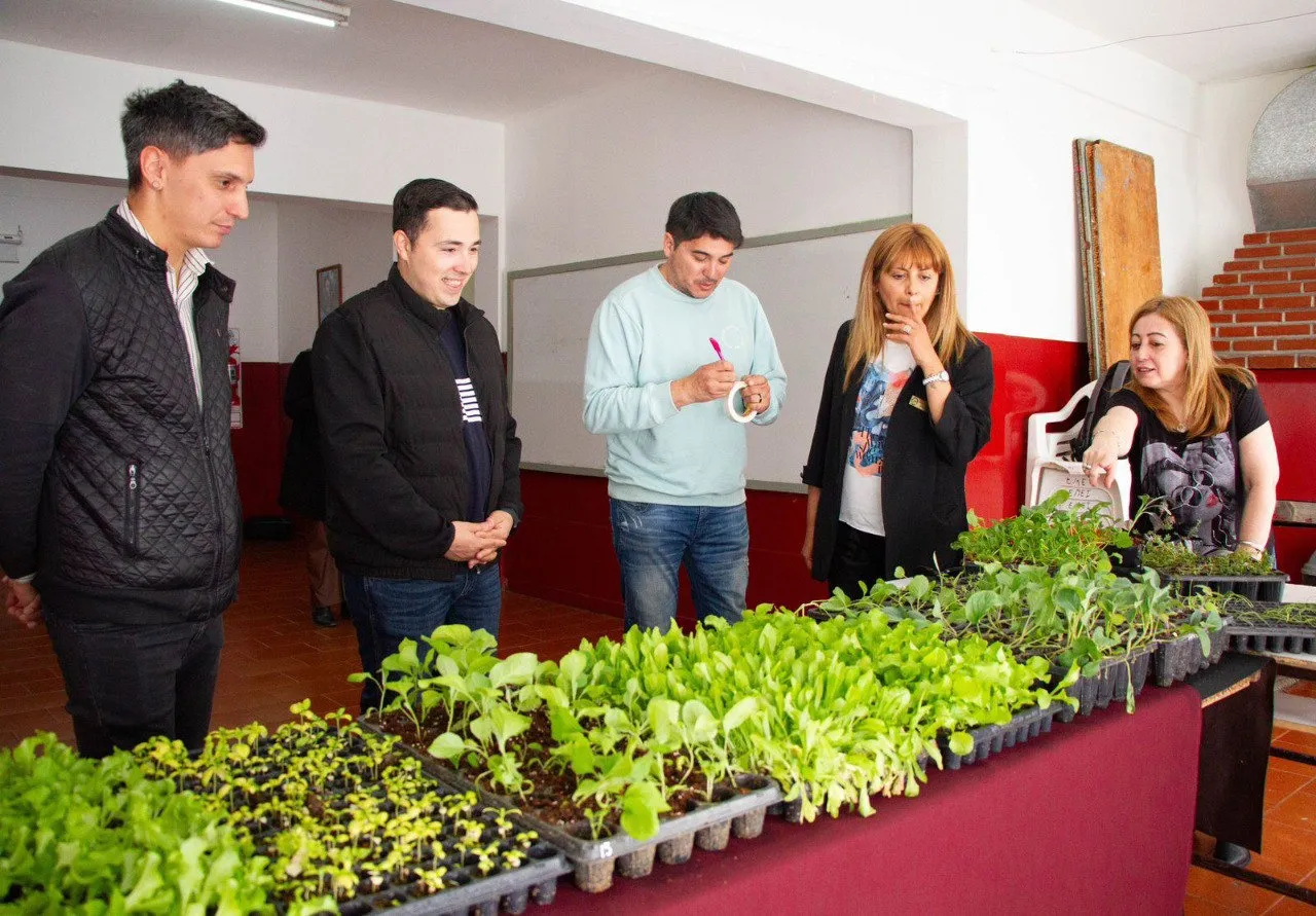 WhatsApp Image 2024-12-09 at 19.58.42 (1)