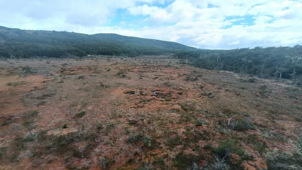 WhatsApp Image 2025-02-11 at 19.43.22 (1)