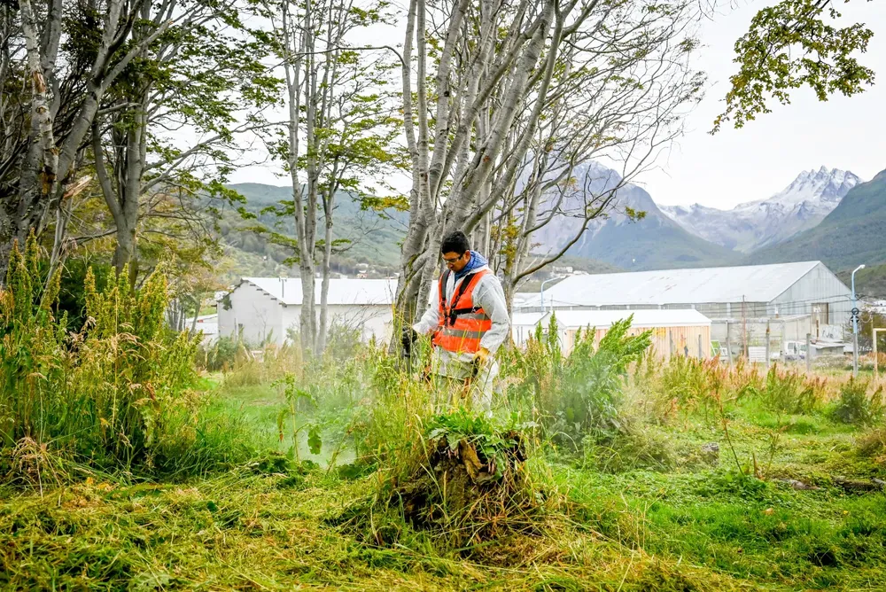 WhatsApp Image 2024-03-14 at 14.38.27