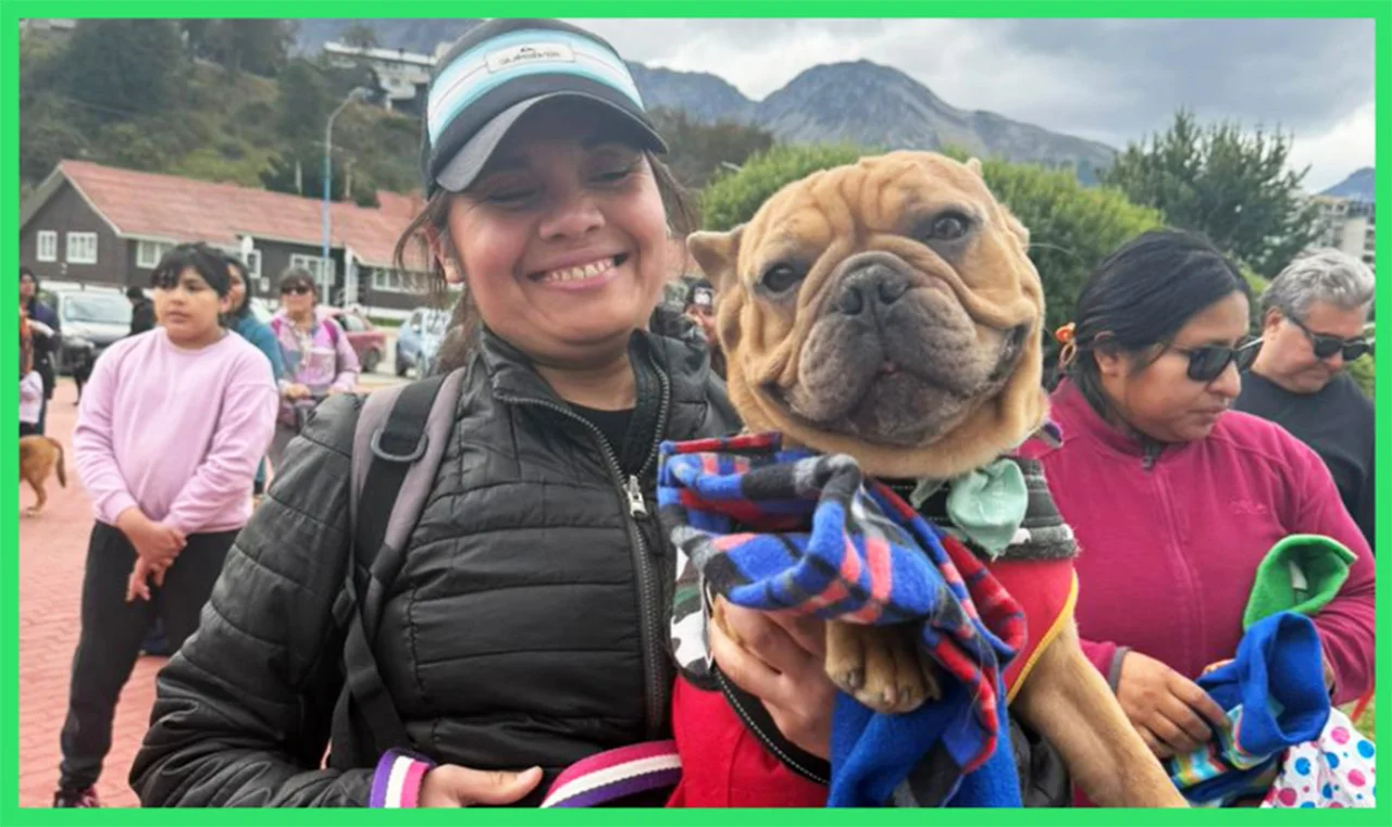 WhatsApp Image 2026-03-04 at 13.29.01 (1)