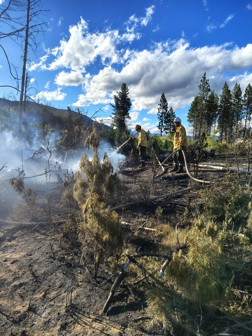 WhatsApp Image 2025-11-18 at 23.03.00 (2)