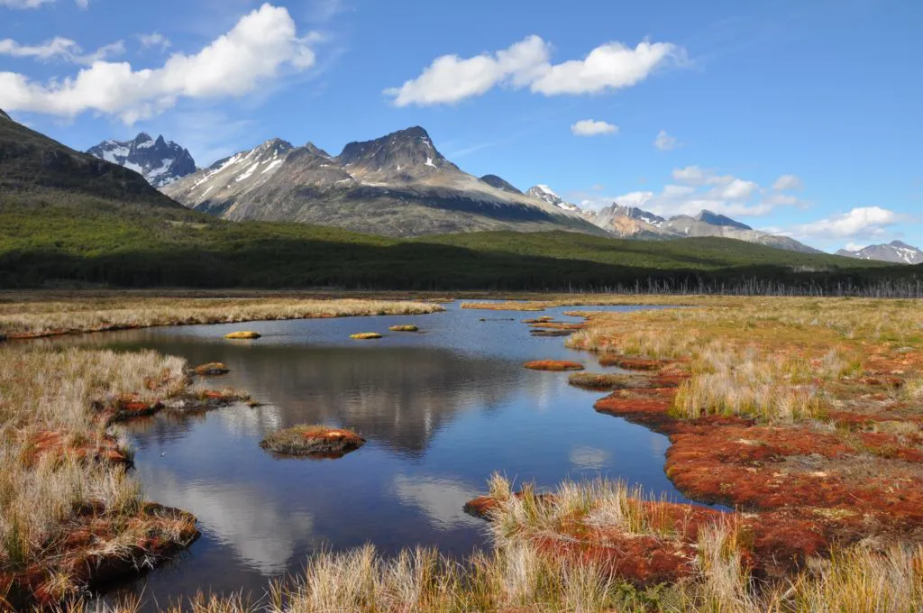 Turbera-Tierra-Del-Fuego