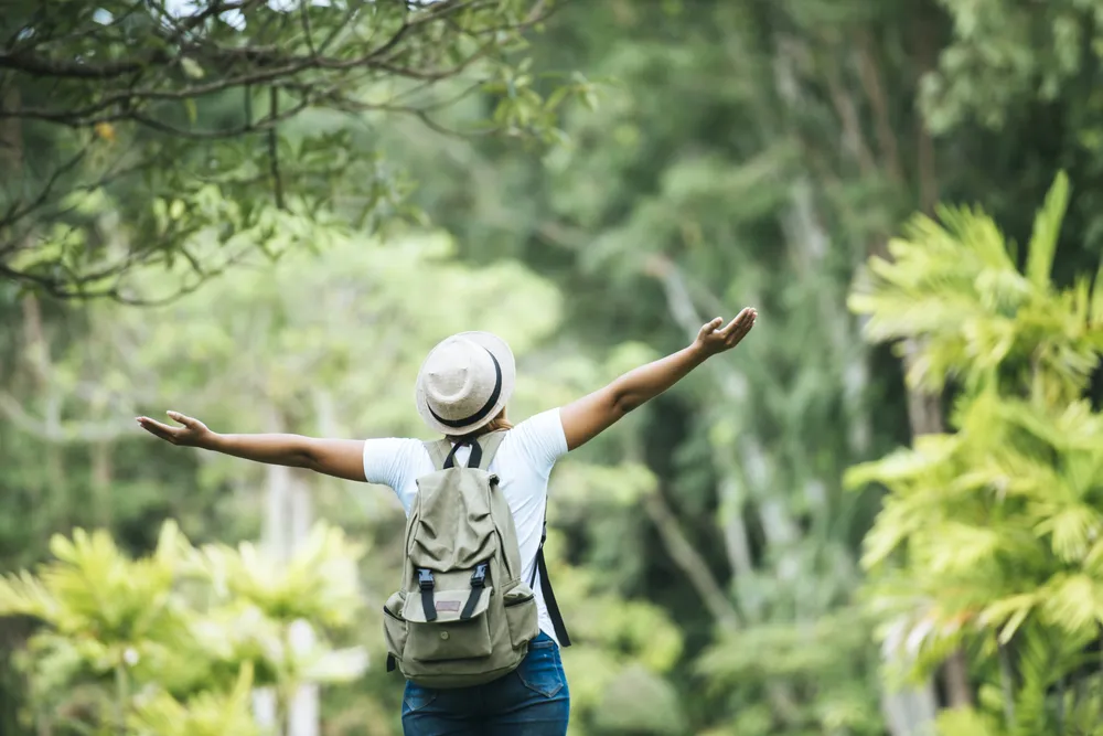 Mira profundamente en la naturaleza y entonces comprenderás todo mejor- Albert Einstein