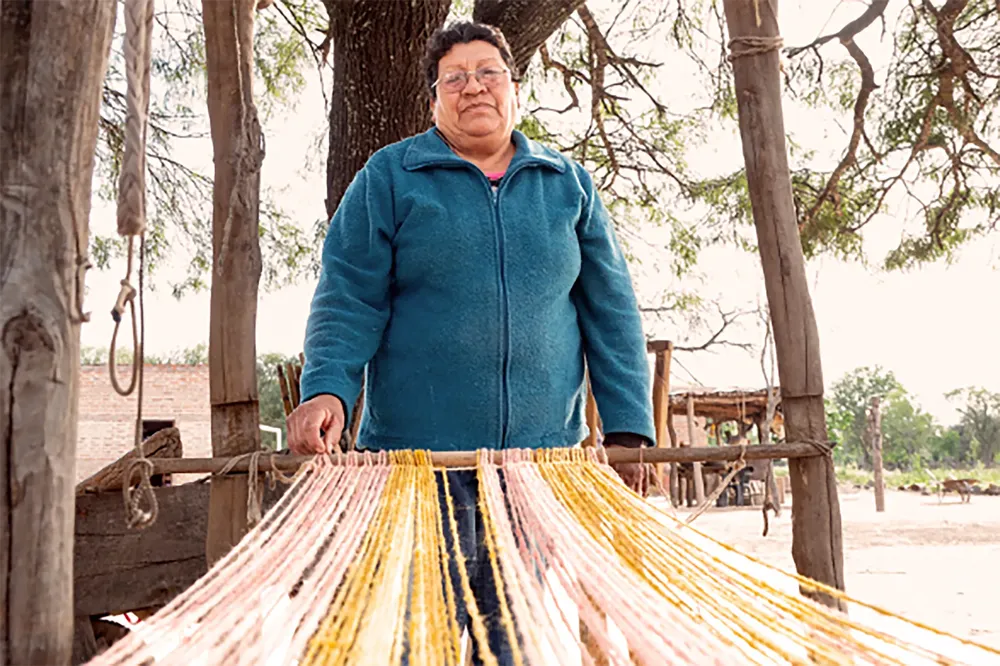 WhatsApp Image 2024-11-14 at 19.36.27