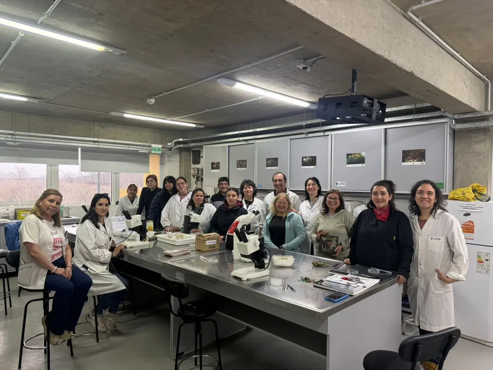 Guardias Ambientales de Bahía Encerrada participaron de una capacitación sobre algas, hongos y líquenes