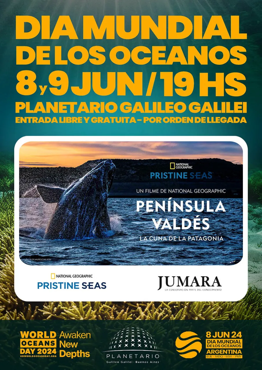 WhatsApp Image 2024-06-05 at 12.11.23