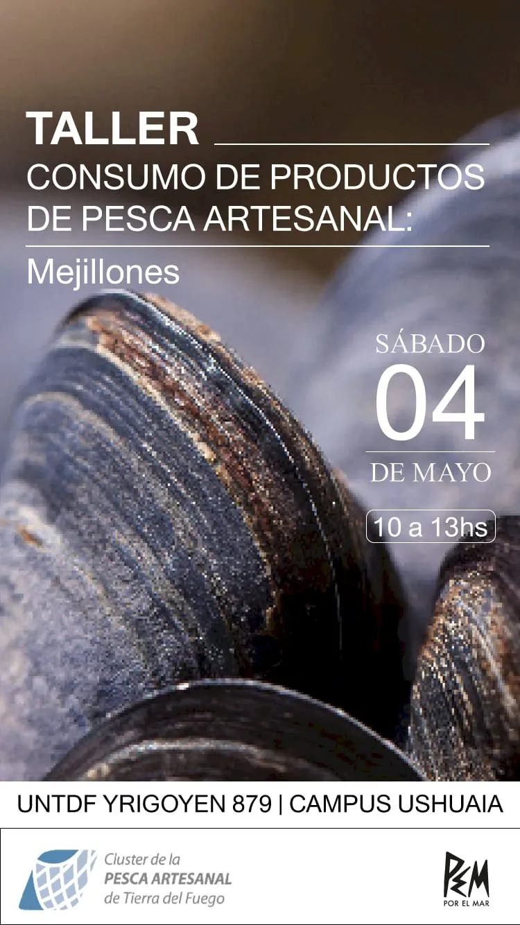 whatsapp%20image%202024-04-26%20at%2009.53.01_1714154899[1]