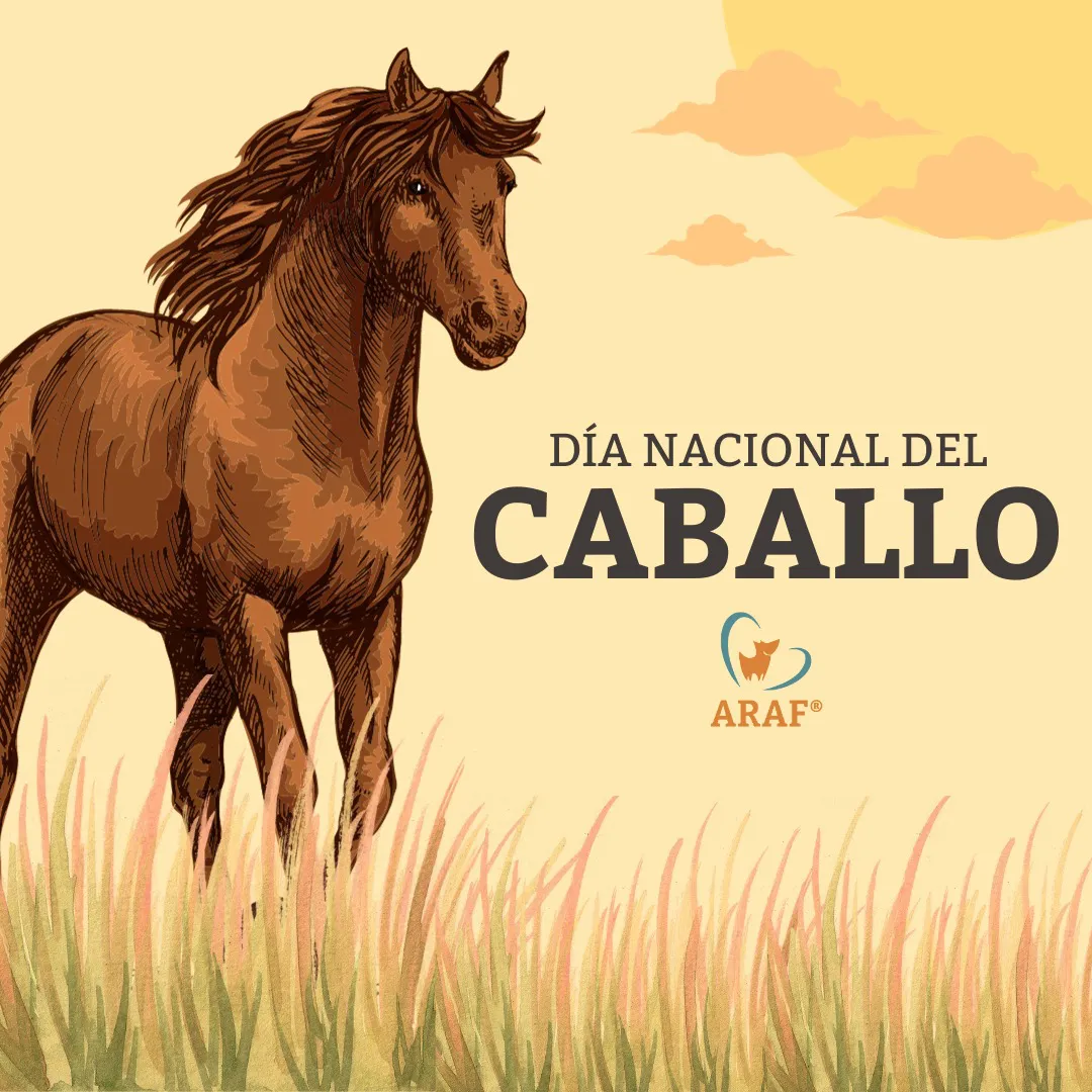 WhatsApp Image 2023-09-20 at 15.04.40