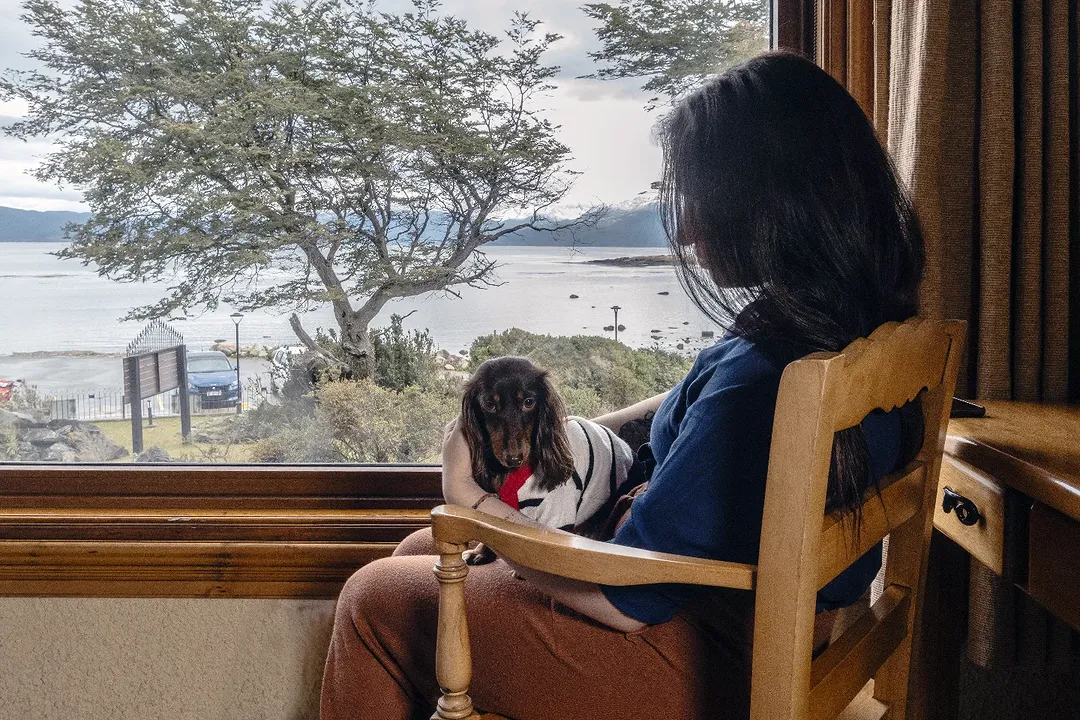 ¡Somos un hotel Pet-Friendly! Podés hospedarte cuando a tu compañía perruna siempre y cuando sean de tamaño pequeño. Es importante que sepas que los animales no pueden permanecer más de dos horas solos en la habitación y