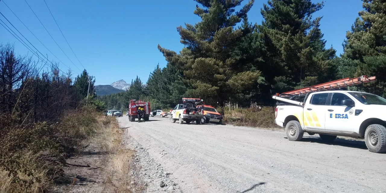 WhatsApp Image 2025-01-27 at 09.50.05