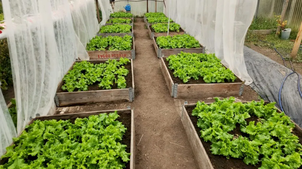 whatsapp image 2025-08-07 at 12.13.14_1754579641