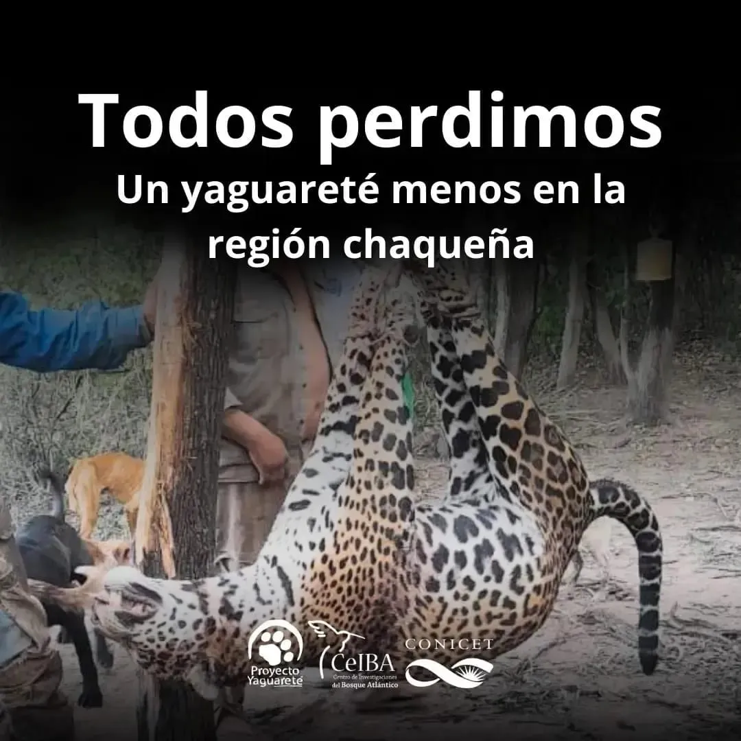 WhatsApp Image 2024-07-31 at 16.06.54(1)