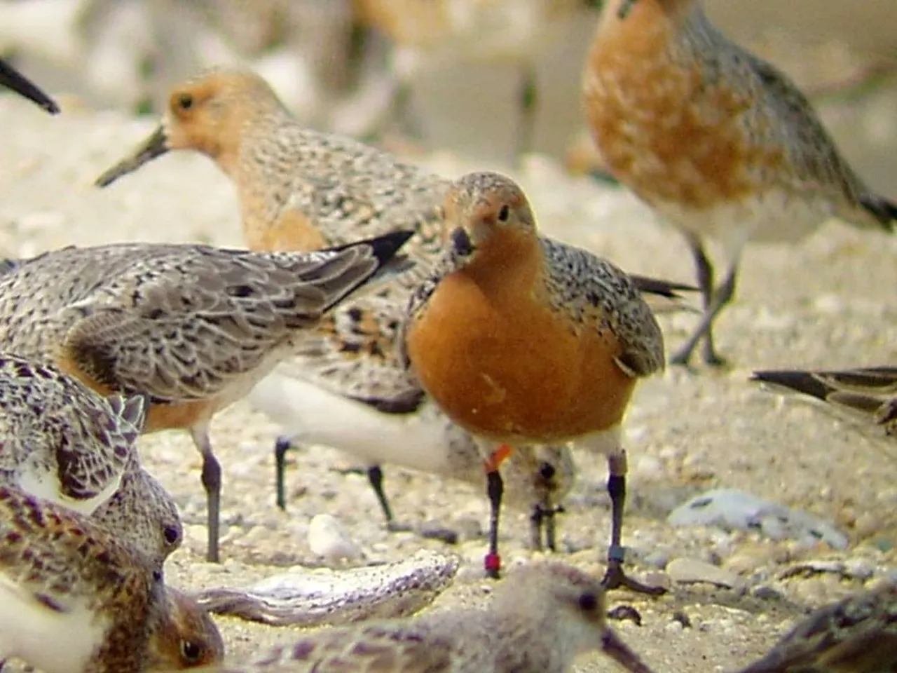 WhatsApp Image 2025-12-10 at 22.27.26