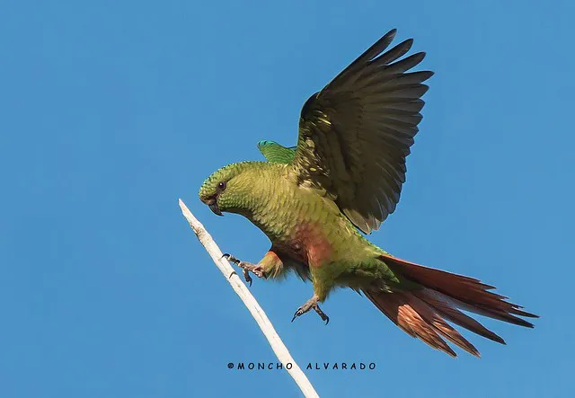 multimedia.normal.b473d9497cbab2b4.Q0FDSEHDkUEgMV9ub3JtYWwud2VicA==