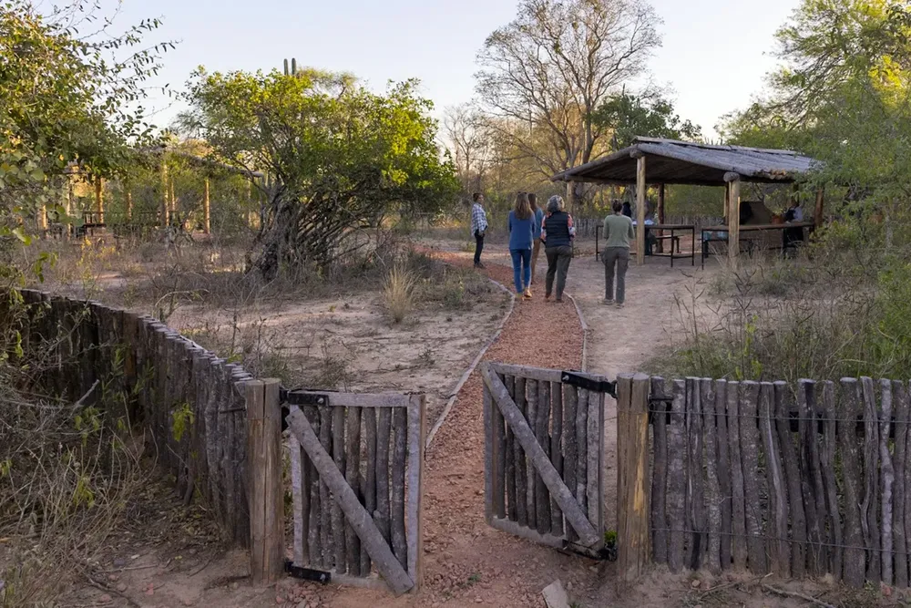 WhatsApp Image 2024-08-19 at 17.08.491