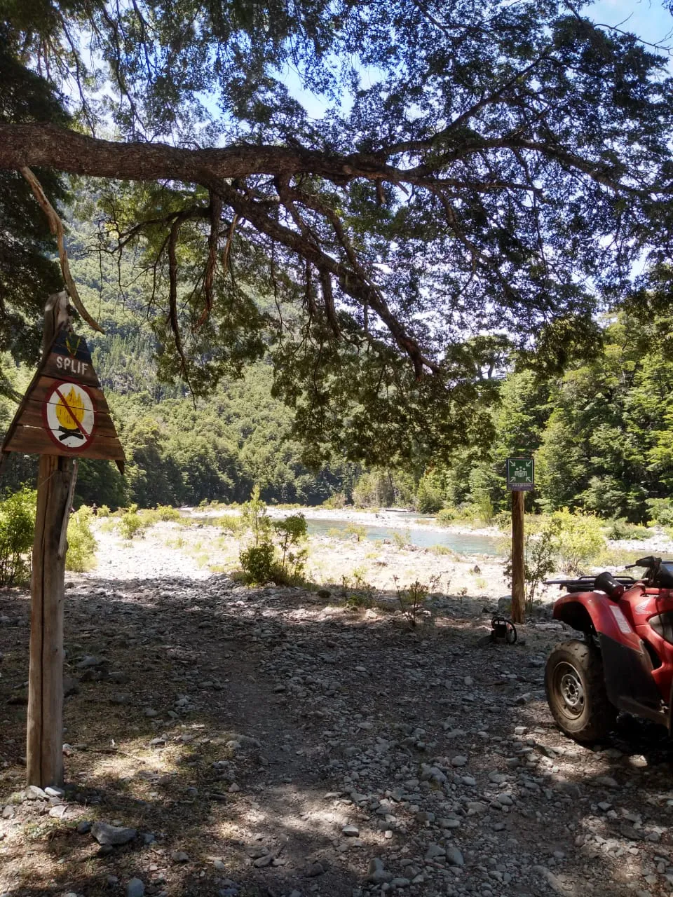 WhatsApp Image 2025-01-22 at 10.10.06 (1)