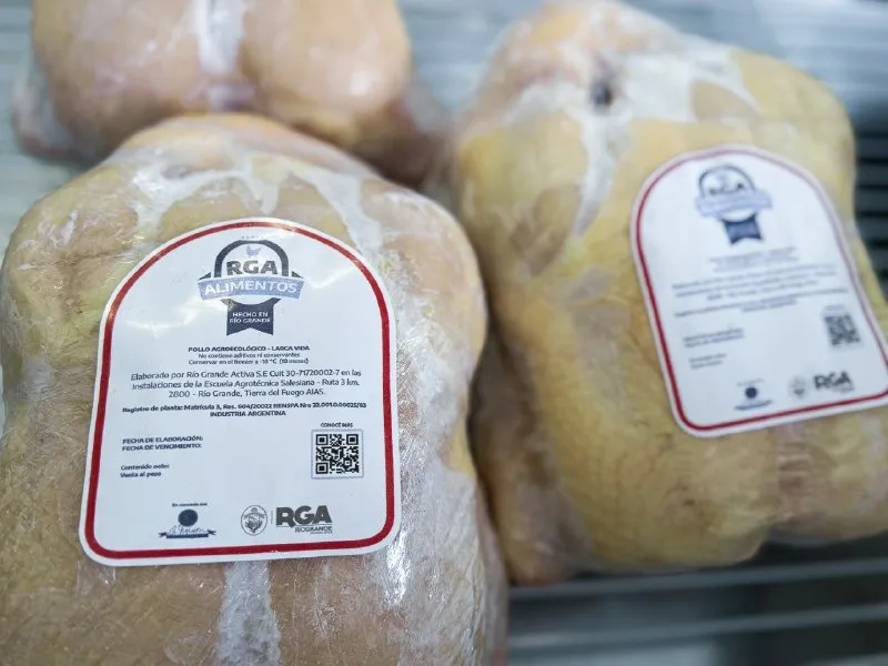  POLLO “LARGA VIDA”