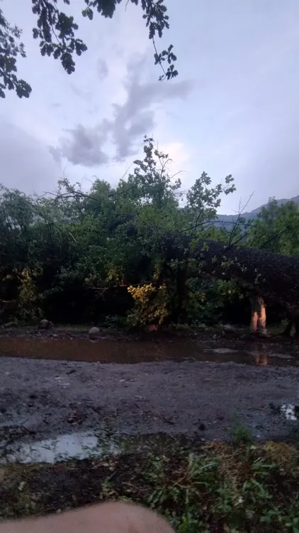 WhatsApp Image 2024-12-17 at 09.34.57