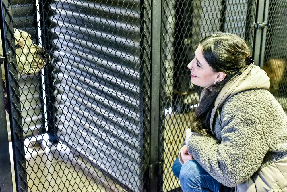 WhatsApp Image 2024-05-29 at 11.24.36 (2)