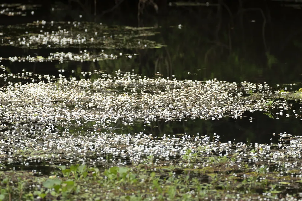 credito_Rodrigo Folch (5)