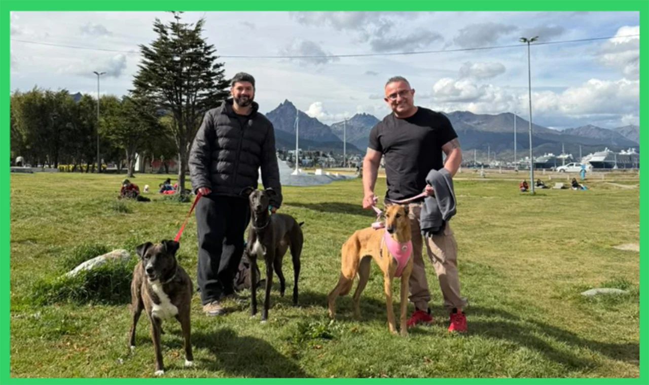 WhatsApp Image 2026-03-04 at 13.29.02 (2)