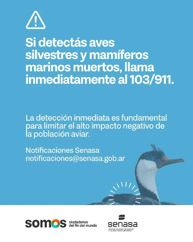 5064333064590699840