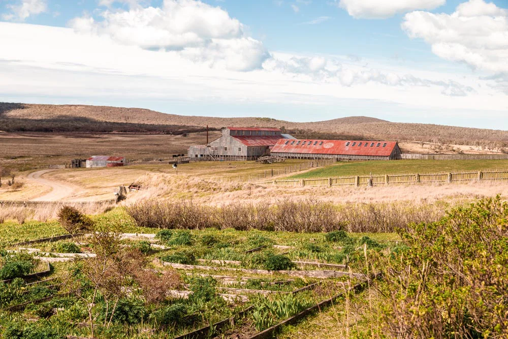 Excursion-completa-EA.-Cabo-San-Pablo-29