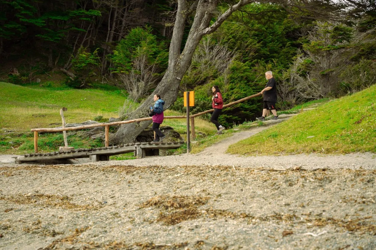 WhatsApp Image 2025-01-31 at 20.37.36 (4)