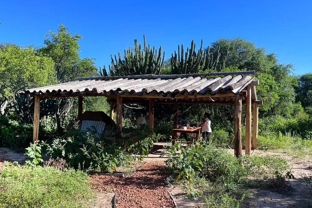 WhatsApp Image 2024-08-19 at 17.08.51