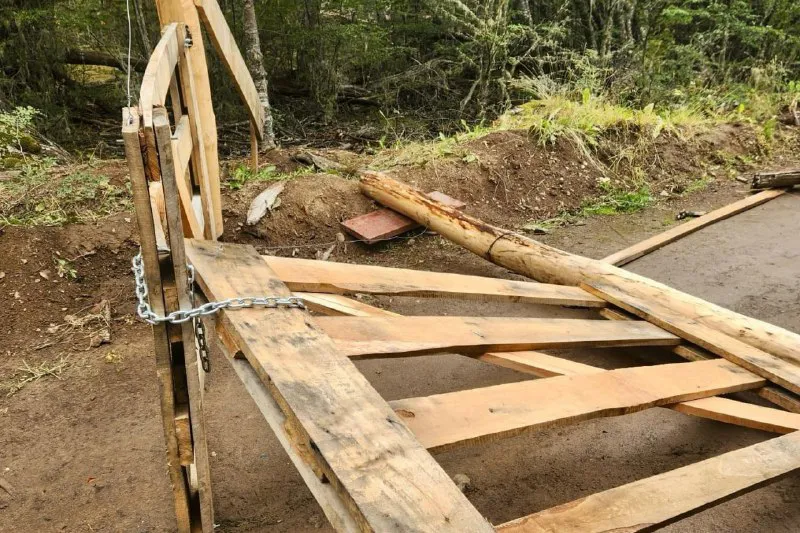 WhatsApp Image 2025-03-12 at 19.12.11(1)