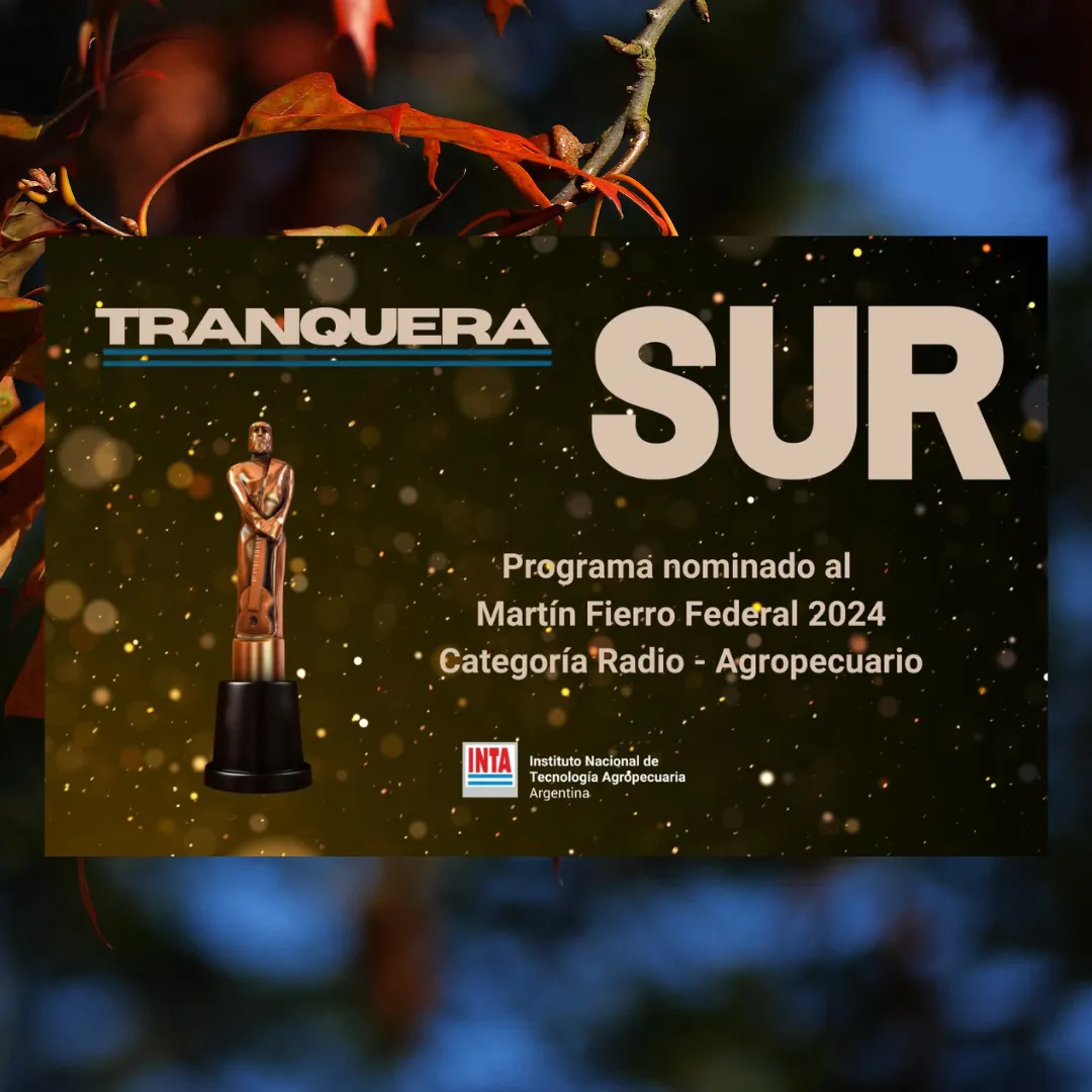 WhatsApp Image 2025-04-04 at 16.24.21