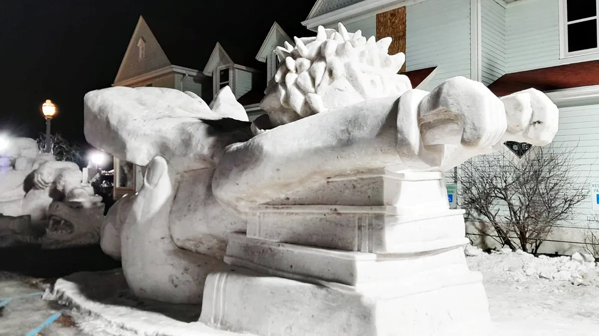 WhatsApp Image 2025-02-04 at 08.21.21