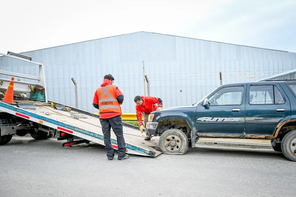 WhatsApp Image 2024-03-14 at 14.38.33