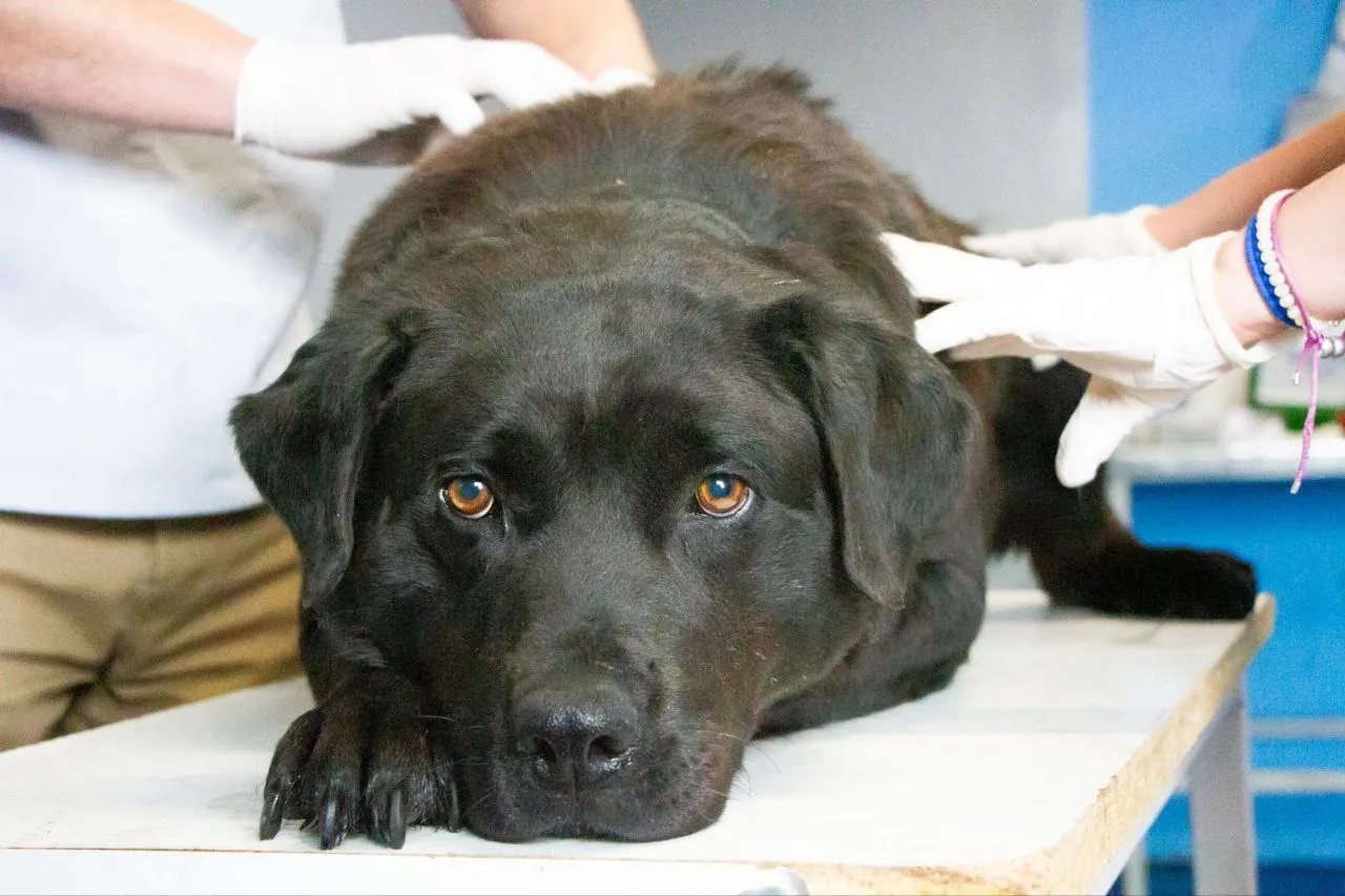 WhatsApp Image 2024-12-20 at 12.33.17